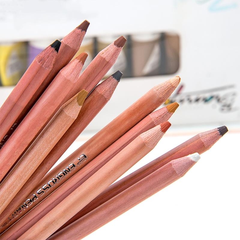 Colored Pencil Professional - 12 個プロフェッショナルソフトパステル鉛筆スキンティントパステル色鉛筆ベストセール