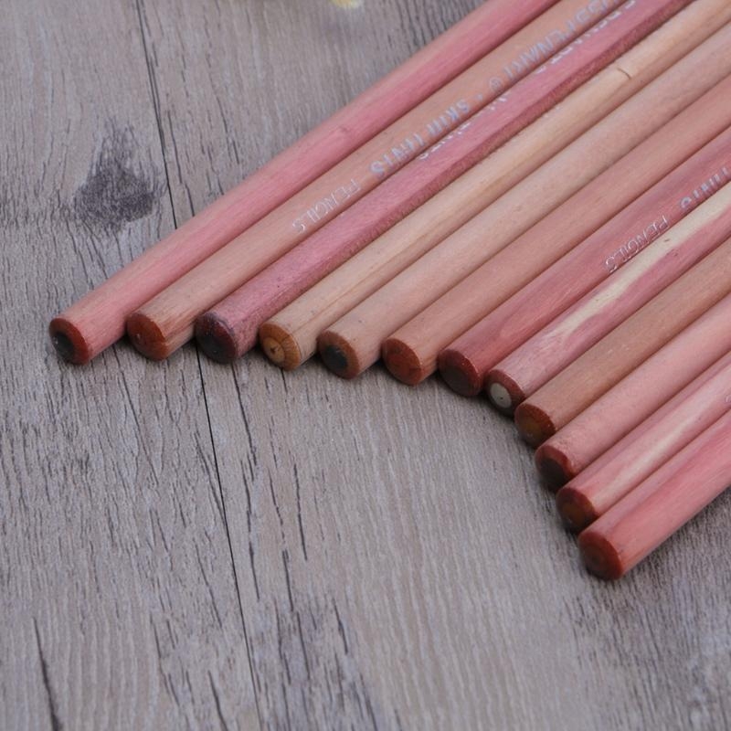 12 個プロフェッショナルソフトパステル鉛筆スキンティントパ - Colored Pencil Professional のレビューと価格