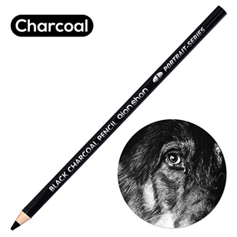 2本入り黒白炭鉛筆、プロ仕様高品質スケッチハイライト木炭鉛筆 - Colored Pencil Professional のレビューと価格