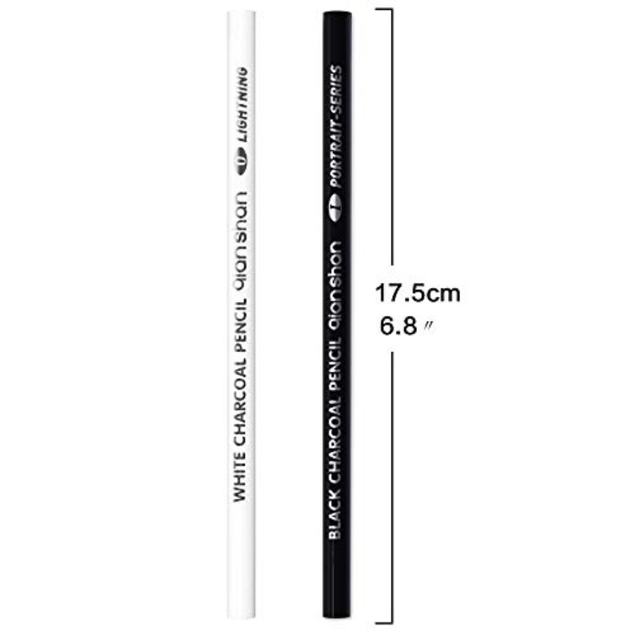 2本入り黒白炭鉛筆、プロ仕様高品質スケッチハイライト木炭鉛筆 - Colored Pencil Professional のレビューと価格